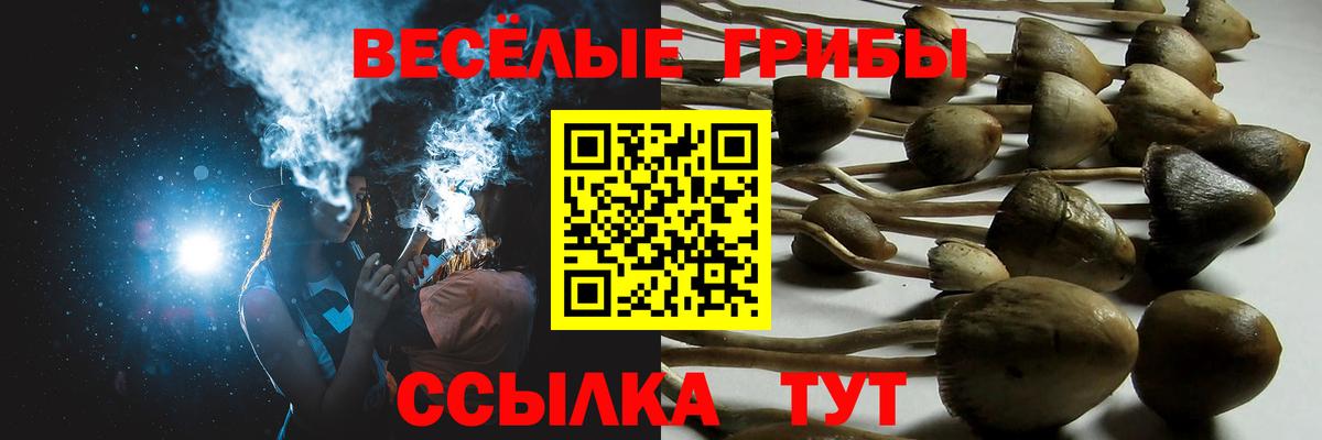Псилоцибиновые грибы ЛСД Азов